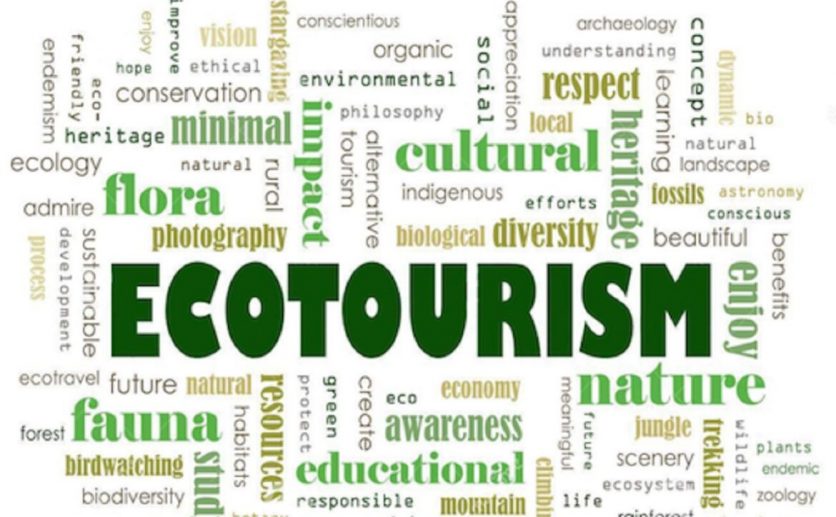 Ecotourism. What is it?